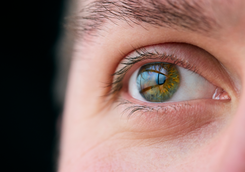 How the Cornea Heals: Timelines, Setbacks and What Slows Recovery